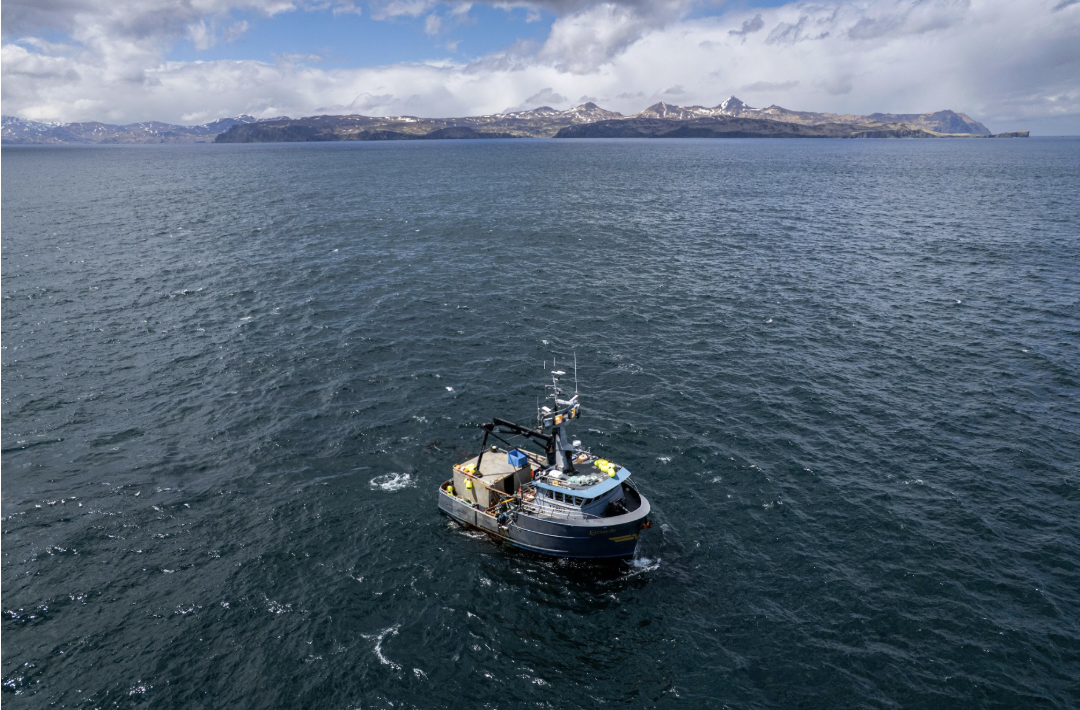 Commission again sets Pacific halibut harvest at rock-bottom levels amid U.S.-Canada tensions