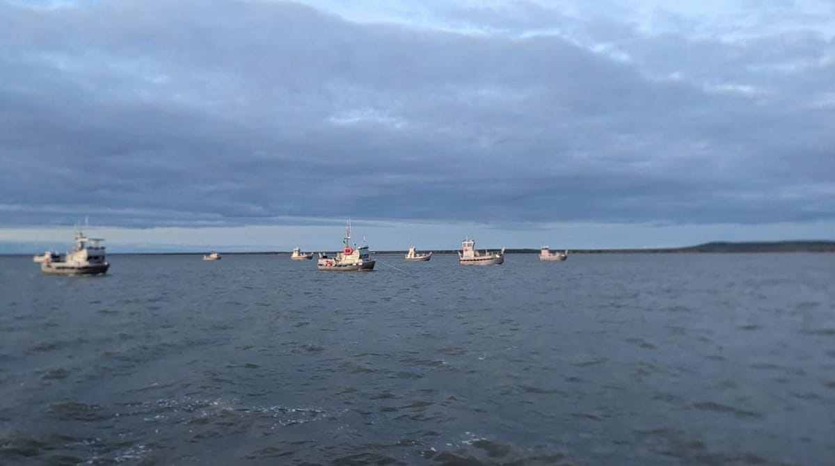 Alaska salmon fishermen fume over low prices, but processors say they're hurting too