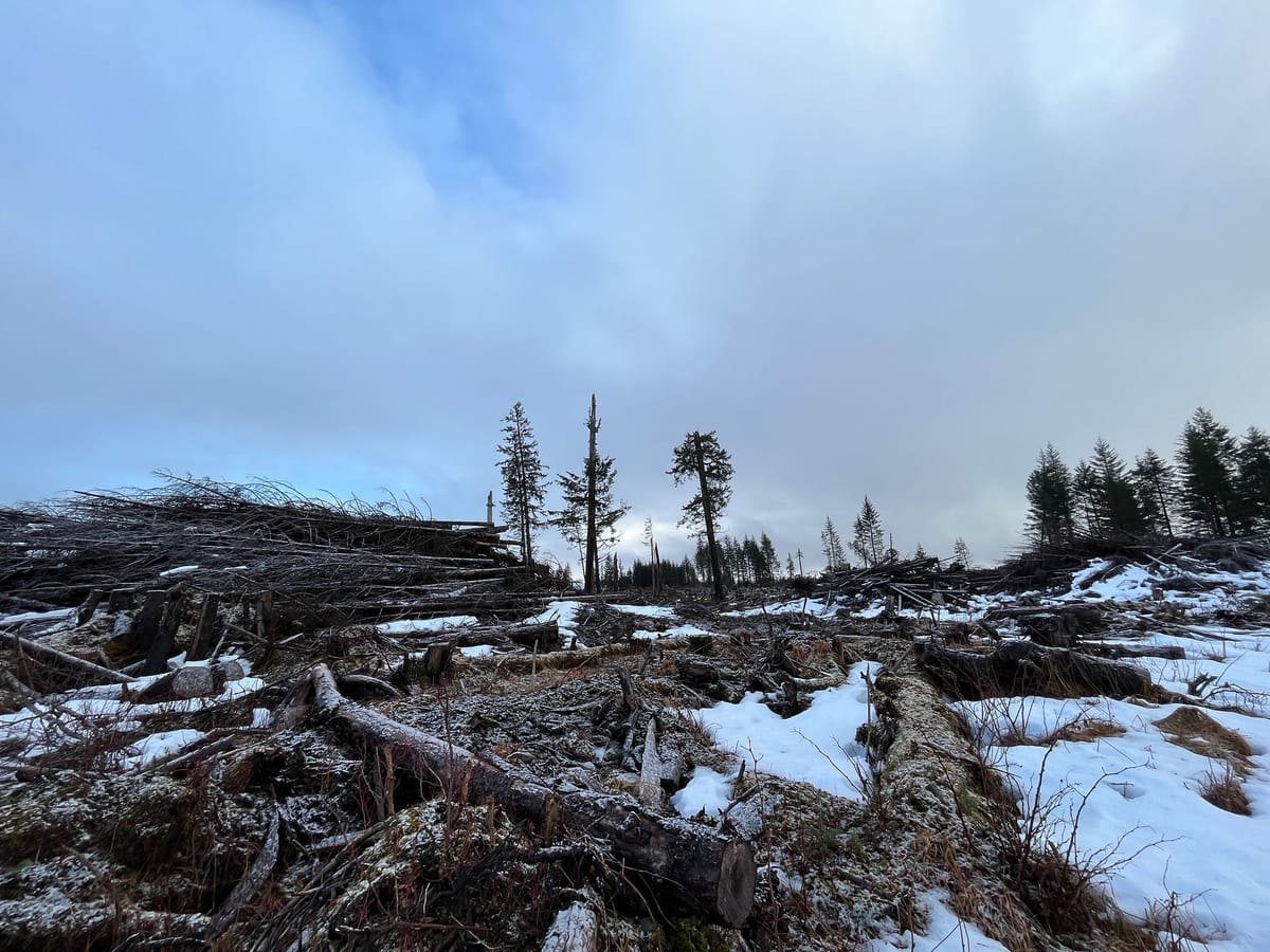Letter from Yakutat: Deep cuts on the Lost Coast