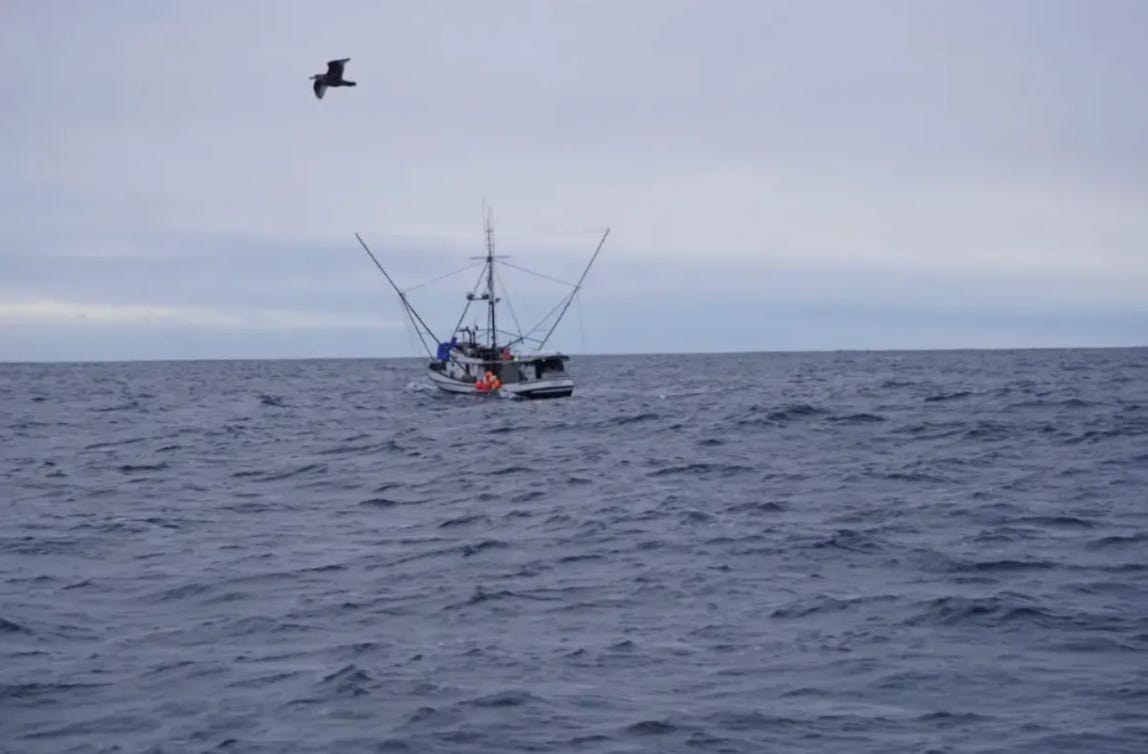 "We can go fishing": appeals court says Southeast Alaska troll fishery can open this summer