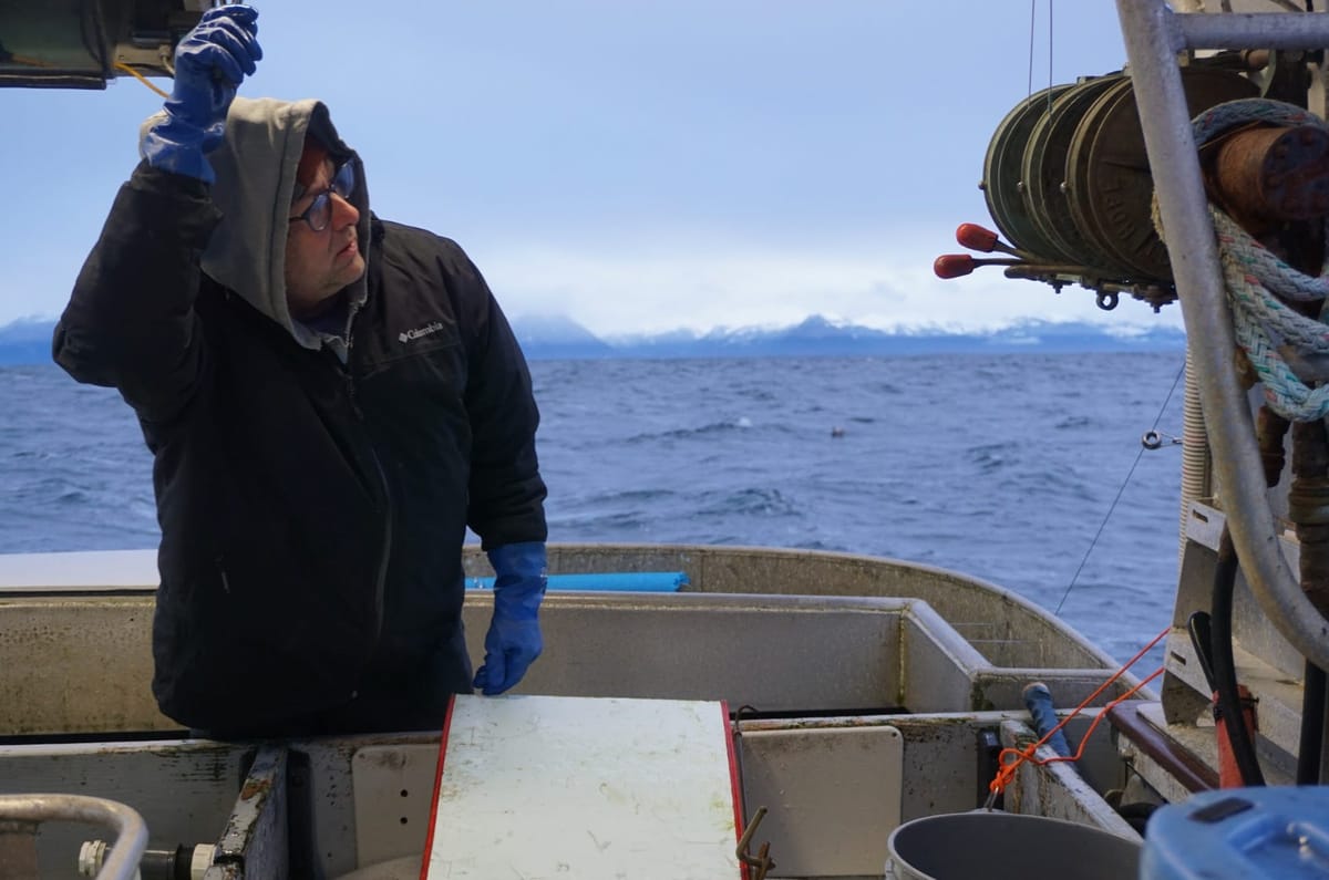 A lawsuit targets a Southeast Alaska salmon fishery to save 73 orcas. Critics say the Washington-based plaintiffs should look closer to home.