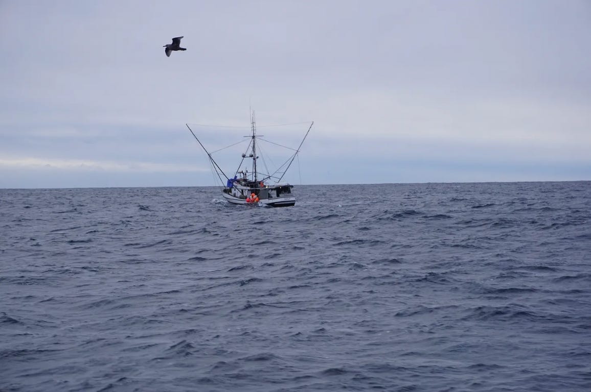 To protect orcas, federal judge orders closure of iconic Southeast Alaska troll fishery