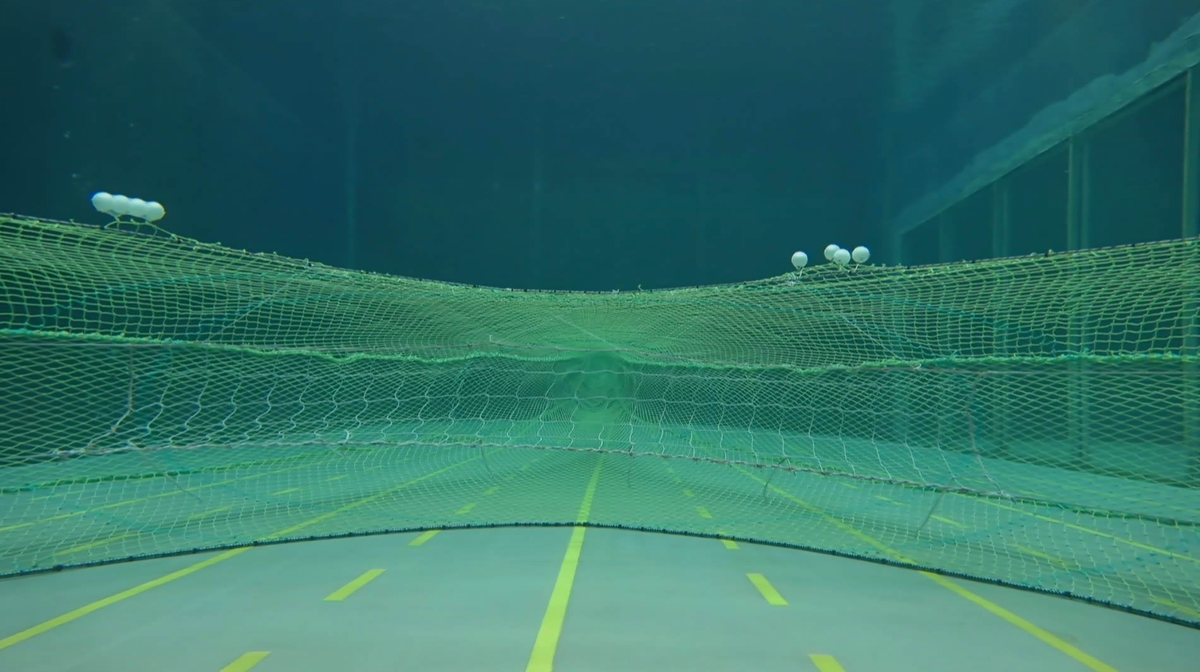 Bottom trawlers that snagged orcas are testing new technology to avoid them