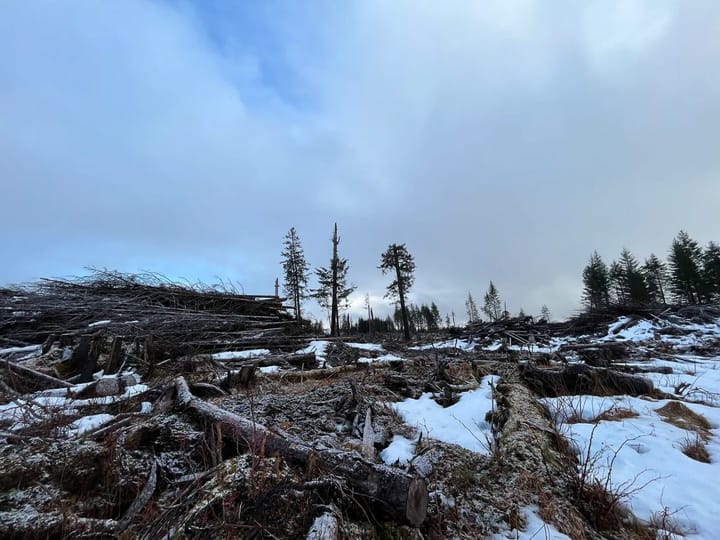 Yakutat tribal leader fears loss of land as bank sues Southeast Alaska village corporation for $13.3 million