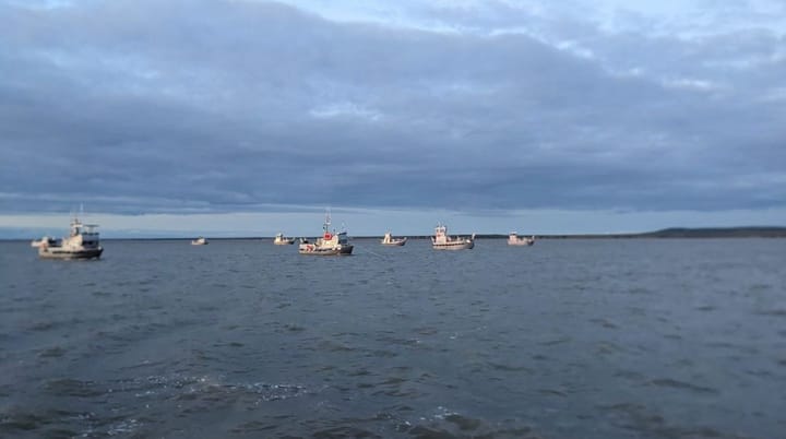 Alaska salmon fishermen fume over low prices, but processors say they're hurting too