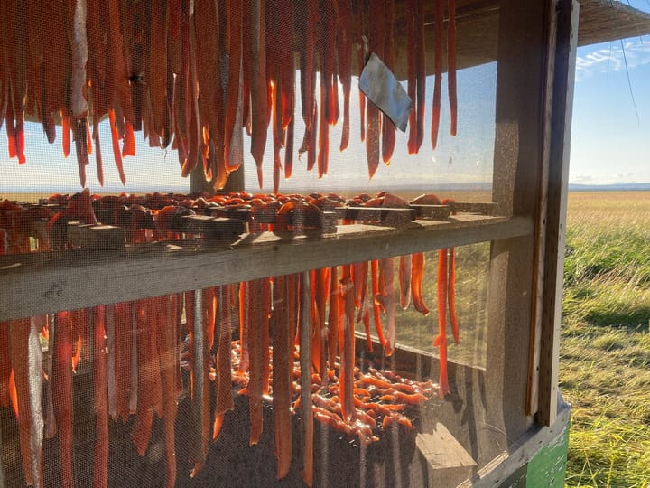 With little movement on salmon bycatch, Alaska advocates look to Biden administration for executive action