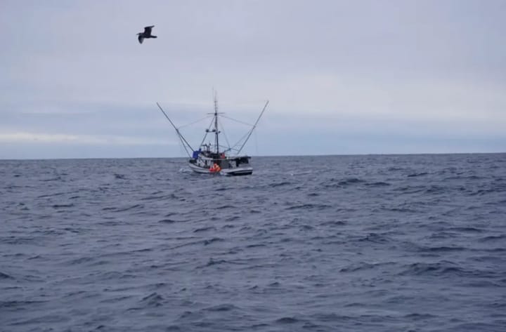 "We can go fishing": appeals court says Southeast Alaska troll fishery can open this summer