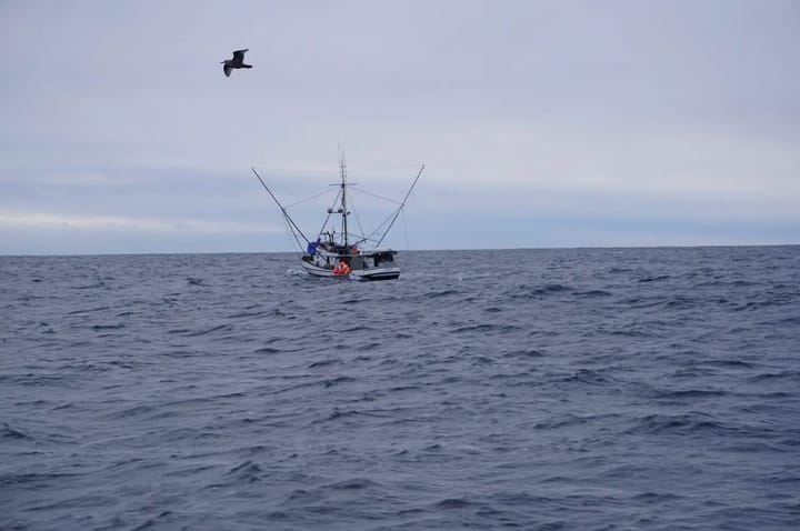 To protect orcas, federal judge orders closure of iconic Southeast Alaska troll fishery