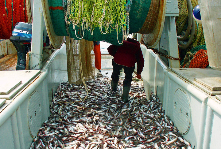 Alaska troopers seize Kodiak trawl group’s electronics in bycatch probe