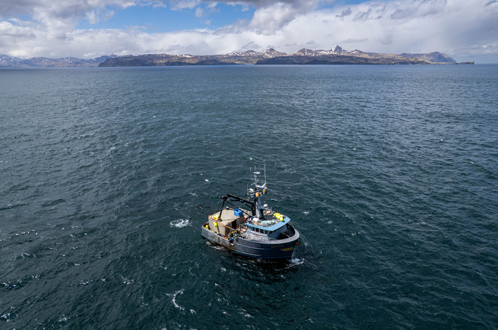 Shrinking prize: Amid halibut's decline, challenges mount for Alaska and Washington fishing crews